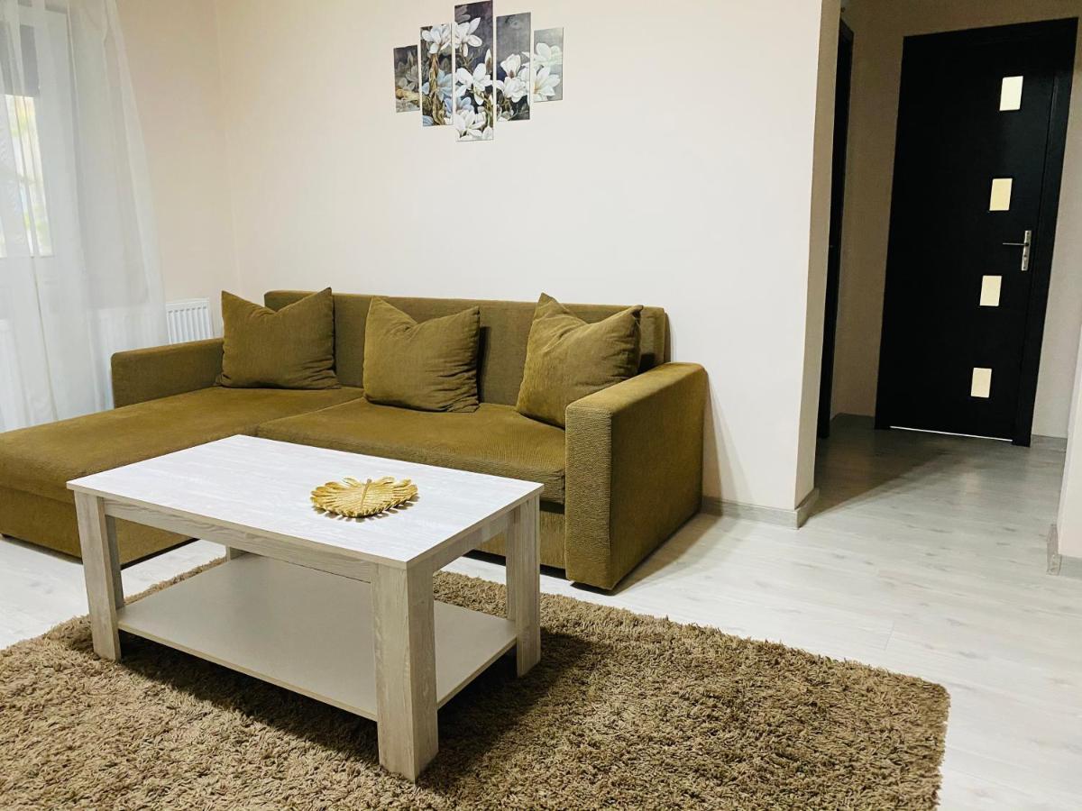 Sellada Apartament - Free Private Parking,Ac,Wi-Fi Carei Ngoại thất bức ảnh